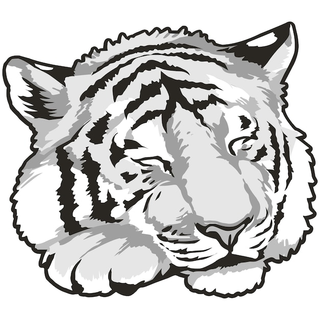 Vettore un disegno in bianco e nero della faccia di una tigre.