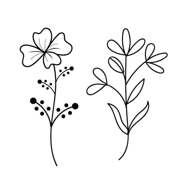 A black and white drawing of two flowers.