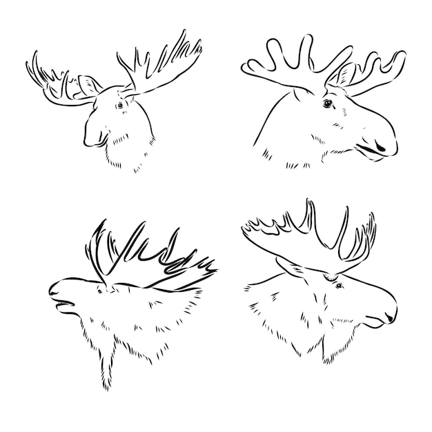 Black and white engrave isolated elk hand draw vector illustration