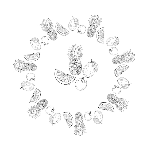 Vector black and white exotic fruit vector wreath isolated on a white background