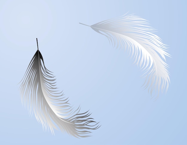 Vector black and white feathers flying by air