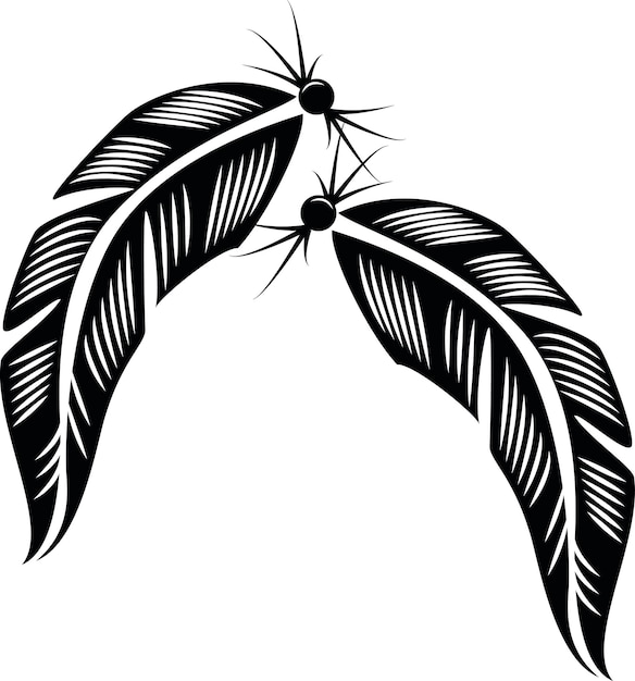 Black And White Feathers Vector Image Isolated On Transparent Background