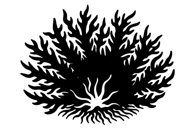 black and white fire coral vector