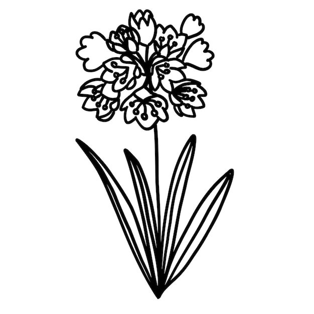 Black and white flower for coloring Plant in outline doodle style Hand drawn vector illustration