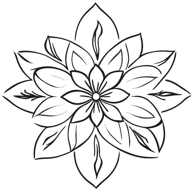 black and white flower isolated