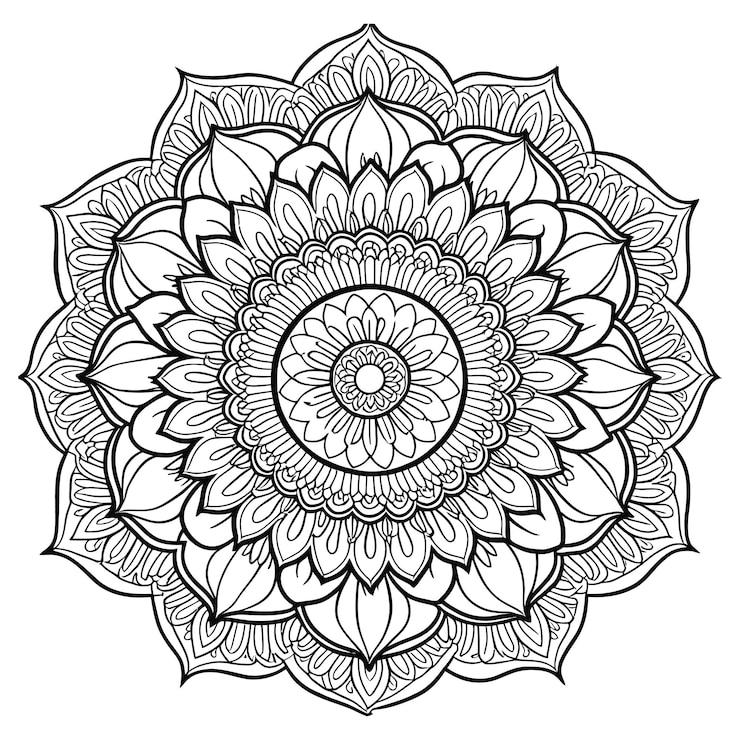 Vector 검은색과 색의 꽃 만달라 터 디자인
