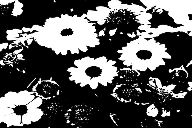 black and white flower texture vector image background texture