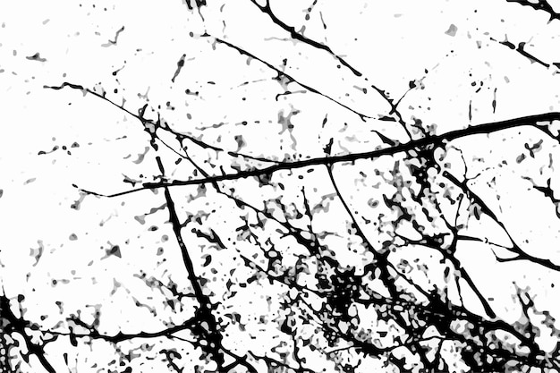 Black and white Grunge Texture Black and white grunge urban texture vector Grunge Background