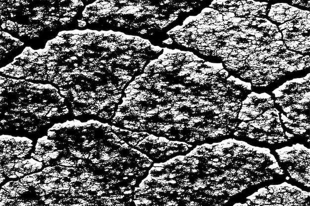 Vettore texture grunge vettoriale in bianco e nero illustrazione texture di sfondo