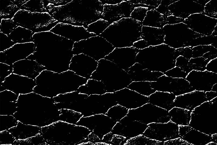 Vector black and white grunge texture vector illustration background texture