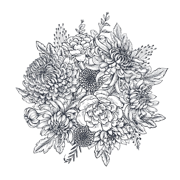 black and white hand drawn chrysanthemum flowers in sketch style Beautiful floral background