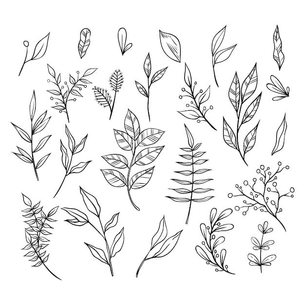 Vector black and white hand drawn floral ornament collection with branches and leaves. decorative elements for decoration