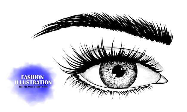 Vector black and white hand-drawn image of eye