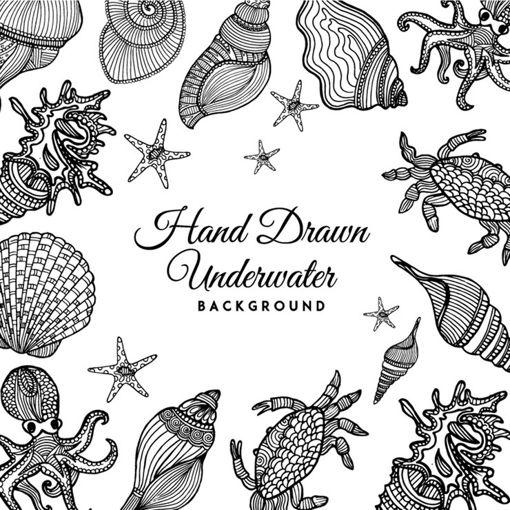Black and White Hand Drawn Underwater Shells Background