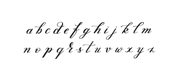 Vector black and white hand lettering alphabet design handwritten brush script modern calligraphy