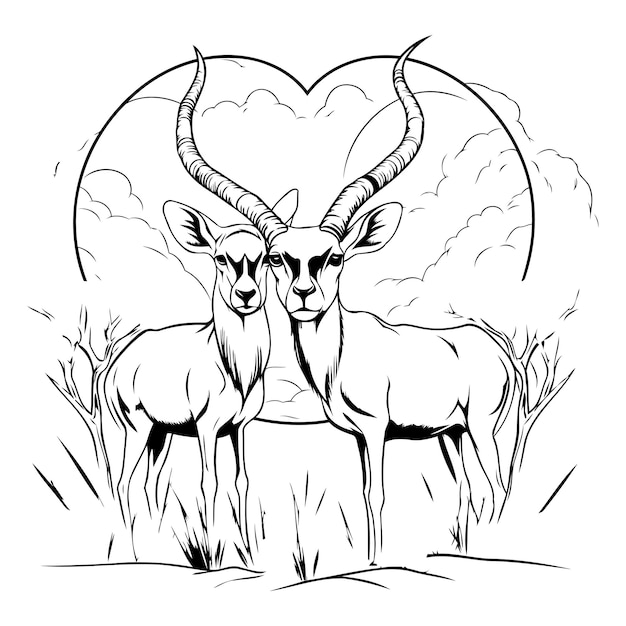 Black and white illustration of antelope in the savannah with heart