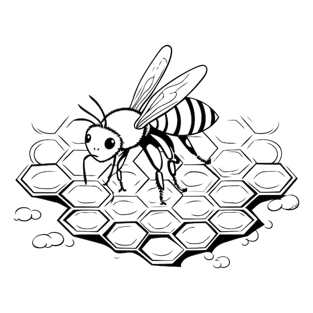 Vector black and white illustration of a bee on a honeycomb isolated on white background