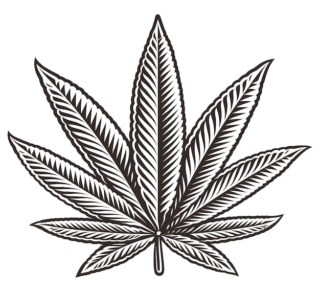 Black and  white illustration of a cannabis leaf,  on the white background.