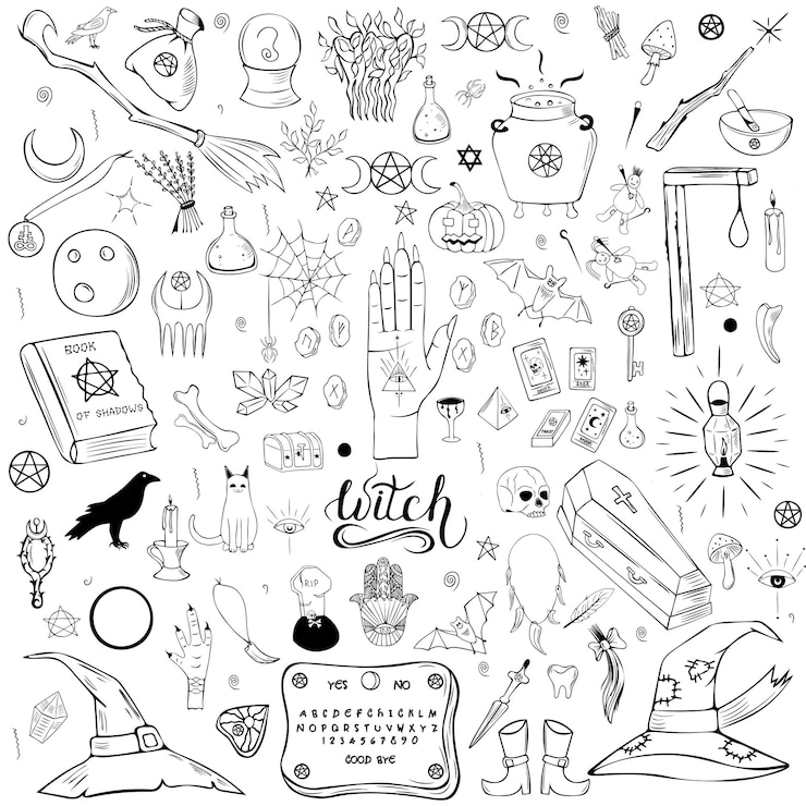 Vector black and white illustration with witch paraphernalia set of witch paraphernalia for greeting cards invitations posters and decoration on halloween