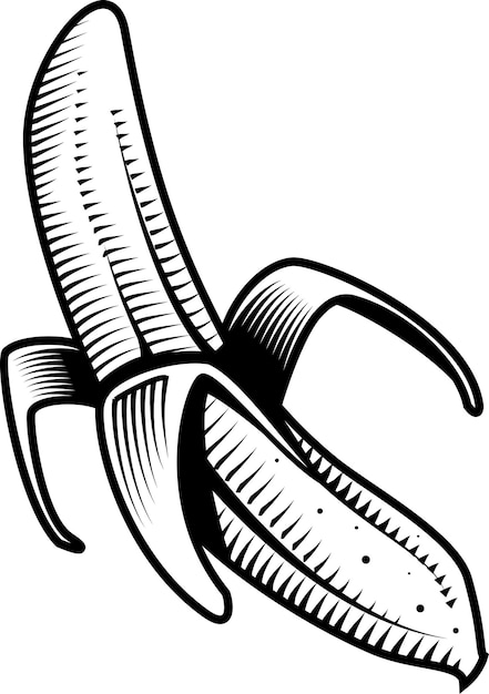 Black And White Image Of Banana Fruit Food Illustration