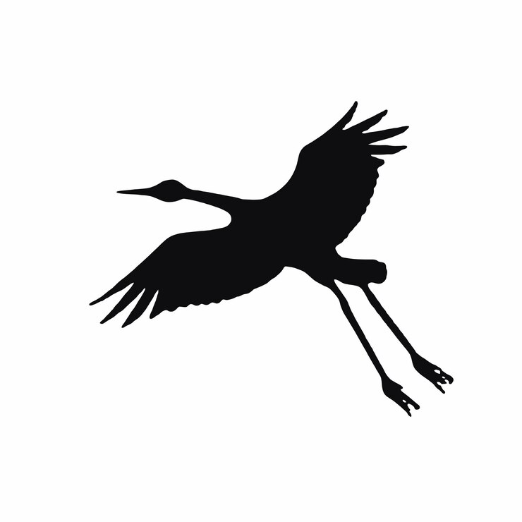 Vector a black and white image of a bird with long legs