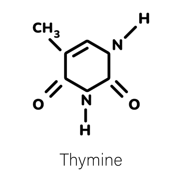 Vector a black and white image of a chemical formula