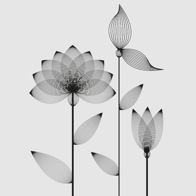 하단에 "lotus"라는 단어가 있는 꽃의 흑백 이미지.