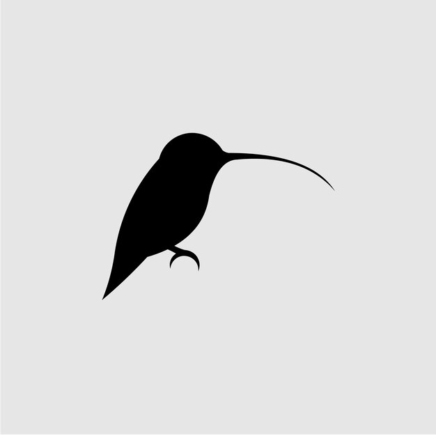 Черно-белое изображение колибри с длинным клювом.