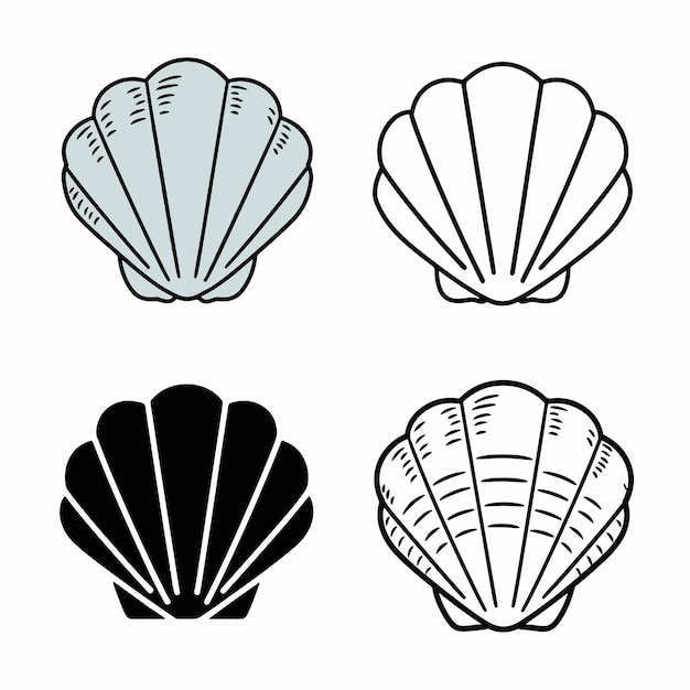 a black and white image of a sea shell with the words sea shell on it