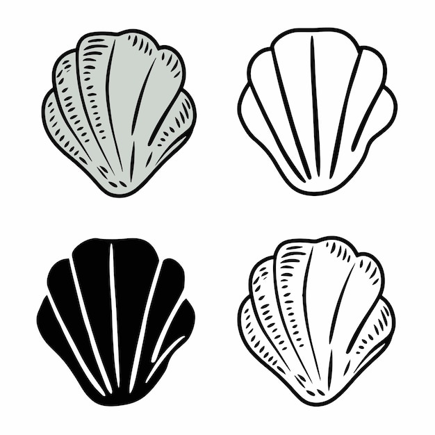 a black and white image of a shell with the words sea shells