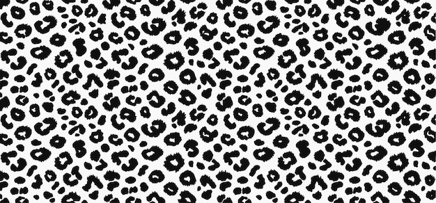 Black and white leopard skin fur texture or leopard print pattern vector background