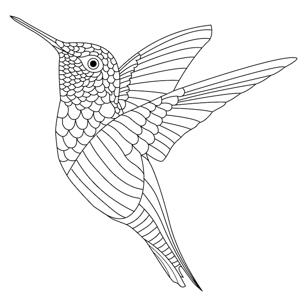 Black and white line art coloring book page with flying cute hummingbird