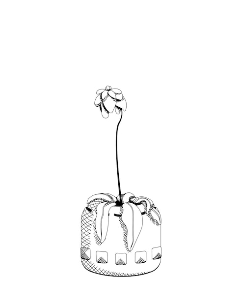 Black and white line art Withered flowers in a clay vase, line drawing, digital engraving