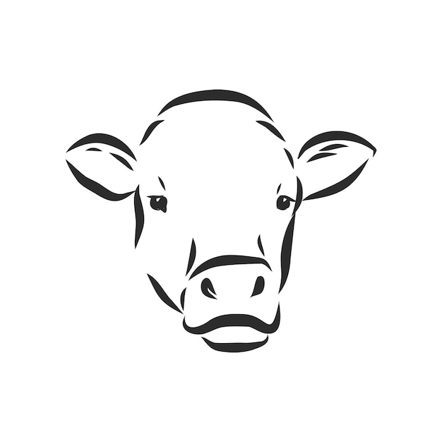 Vector black and white linear paint draw bull vector illustration. bull vector sketch illustration