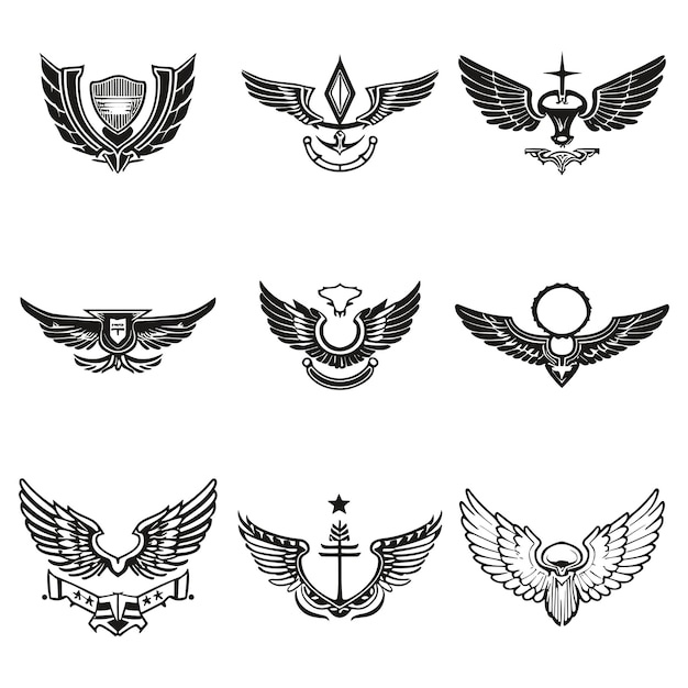 Vector black and white logo design with wings