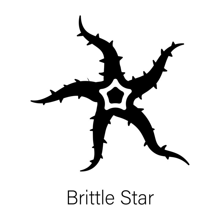 Vector 검은색과 색의 로고로 별을 표시합니다.