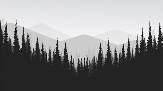 Black and White Mountain landscape with Pine Forest