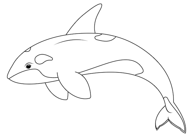 Vector black and white orca cartoon character vector coloring page of cartoon orca