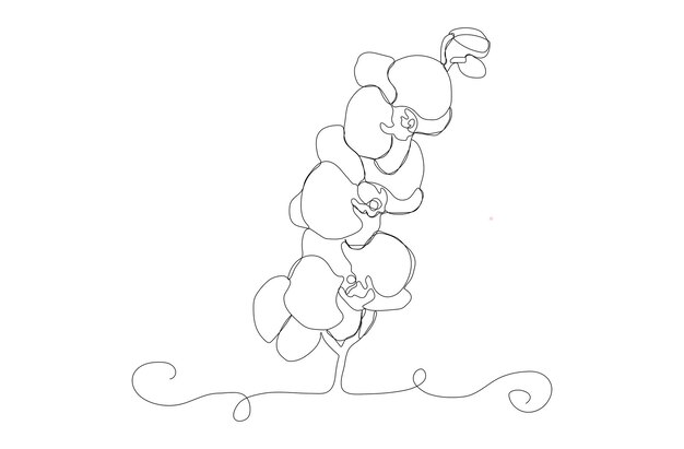 Vector black and white of orchid flowers vector illustration isolated