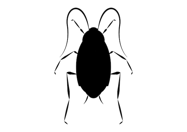 Vector black and white oriental cockroach clipart vector coloring page of a oriental cockroach