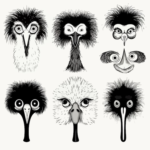Черно-белый дизайн головы страуса