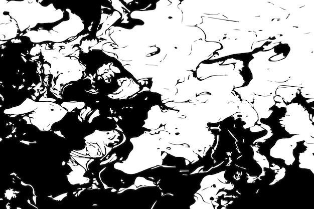 黒と白の線が付いた黒と白色の絵の黒と白色写真