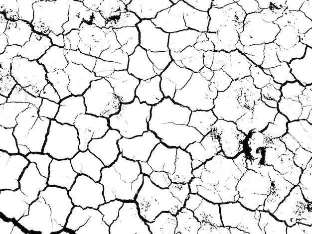 Черно-белая фотография потрескавшейся земли с указанием 2010 года.