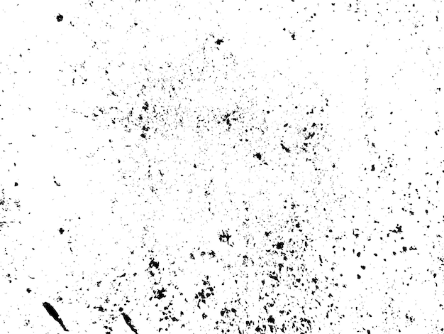 白と黒と白の背景の白黒の写真
