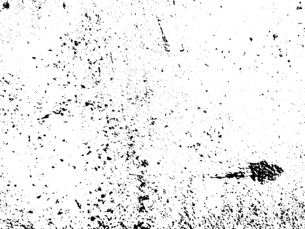 白と黒と白の絵画の黒と白色の写真と絵画の斑点