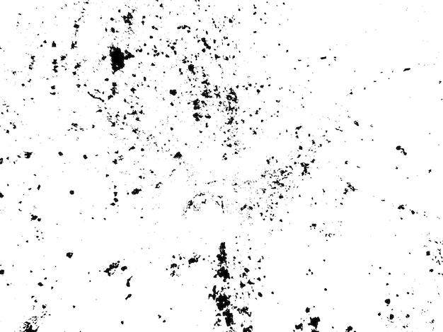 黒と白の背景の白い壁の黒と白な写真