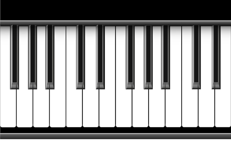 Premium Vector | Black and white piano keys taken musical instrument