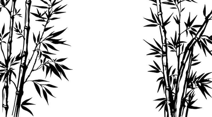 Vector a black and white picture of bamboo leaves.