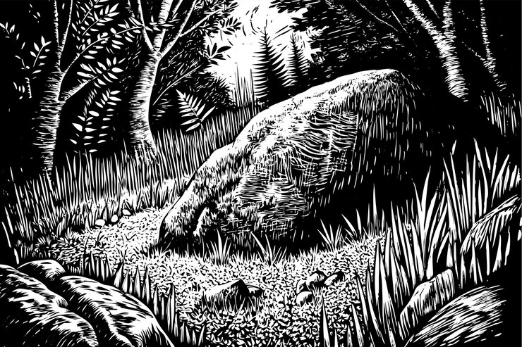 Vector a black and white picture of a forest with a large rock in the foreground