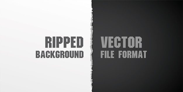 Vector black and white ripped background graphic vector